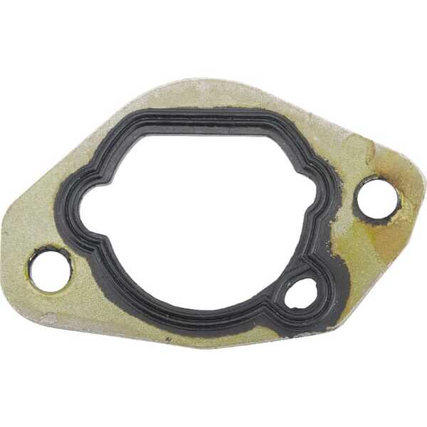 Castelgarden Vergaserdichtsatz - 1185507620 - Packung, Isolator