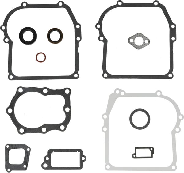 Dichtungssatz - 391662 - Briggs & Stratton