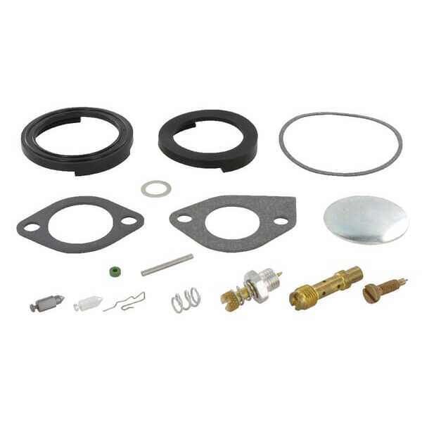 Briggs & Stratton Vergaserreparaturset - 394698 - Vergaser-Überholungssatz