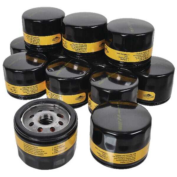Briggs & Stratton Ölfilter Briggs & Stratton - 4237 - Ölfilterset 12x 842921