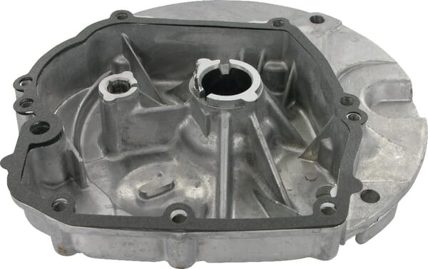 Sumpfmotor - 493279 - Briggs & Stratton