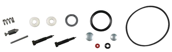 Kit-Carb Überholung - 494349 - Briggs & Stratton