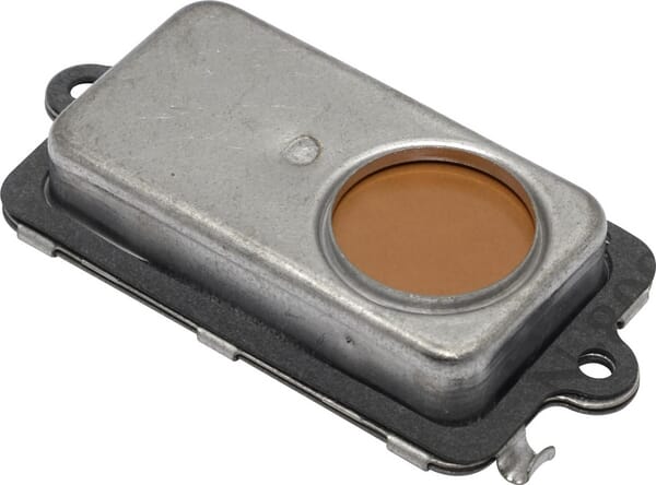 Entlüftungsventil - 495724 - Briggs & Stratton