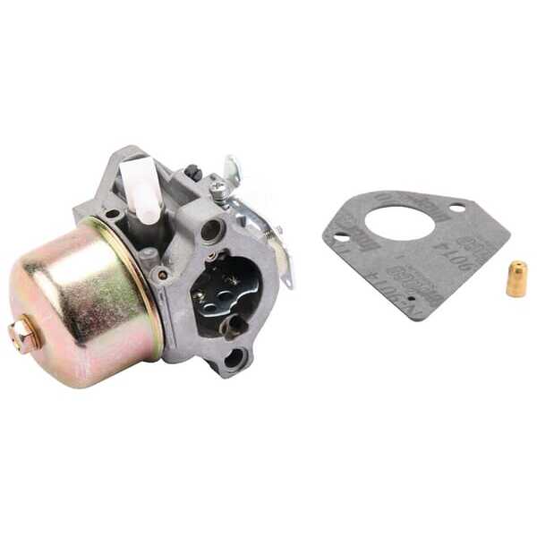 Briggs & Stratton Vergaser - 495782 - Vergaser