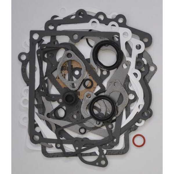 Briggs & Stratton Dichtungssatz - 495868 - Dichtungssatz