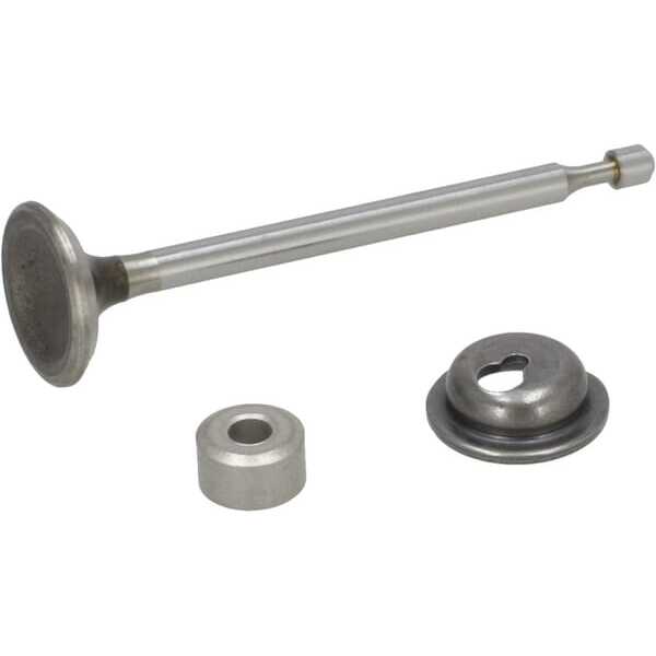 Auslassventil - 590531 - Briggs & Stratton