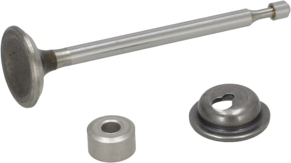 Auslassventil - 590531 - Briggs & Stratton