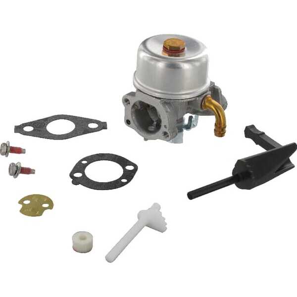 Briggs & Stratton Vergaser - 591299 - Vergaser