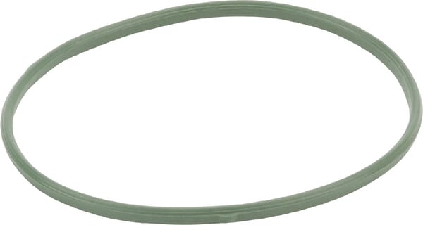 Dichtung Schwimmerkammer - 592485 - Briggs & Stratton