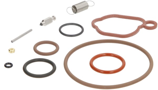 Reparatursatz für Vergaser - 594636 - Briggs & Stratton