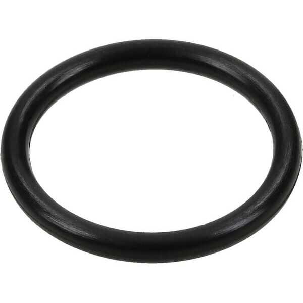 O-Ring - 692019 - Briggs & Stratton