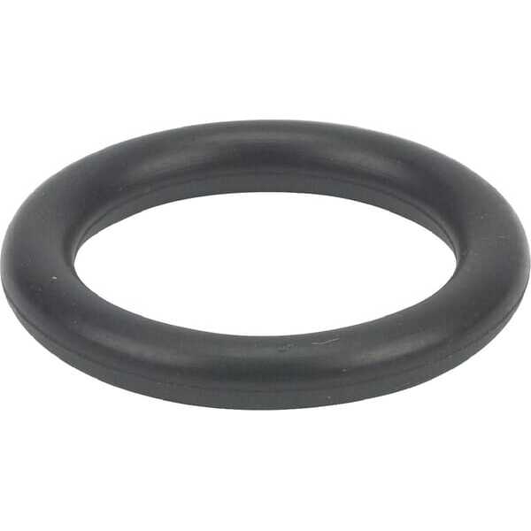 O-Ring - 699725 - Briggs & Stratton