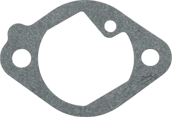 Ansaugdichtung - 699800 - Briggs & Stratton