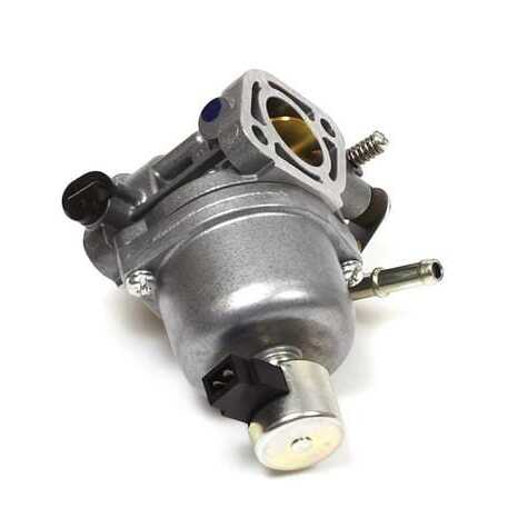 Vergaser - 699807 - Briggs & Stratton