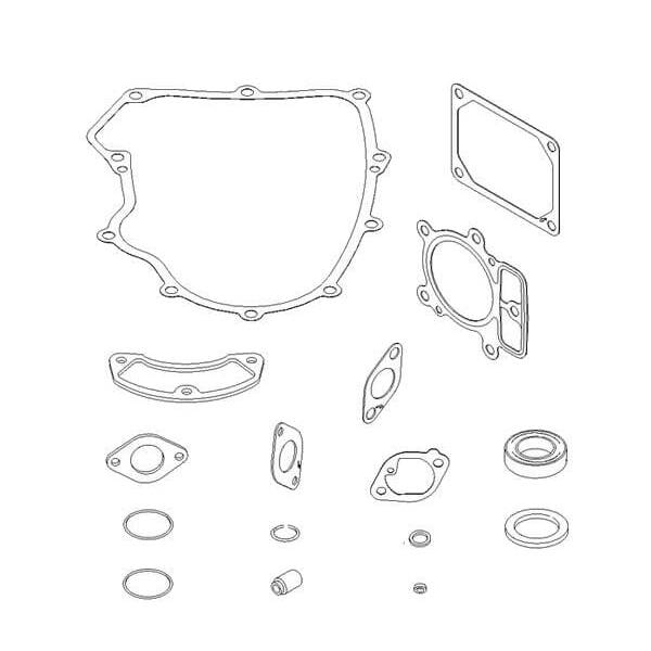 Briggs & Stratton Dichtungssatz - 699823 - Dichtungssatz