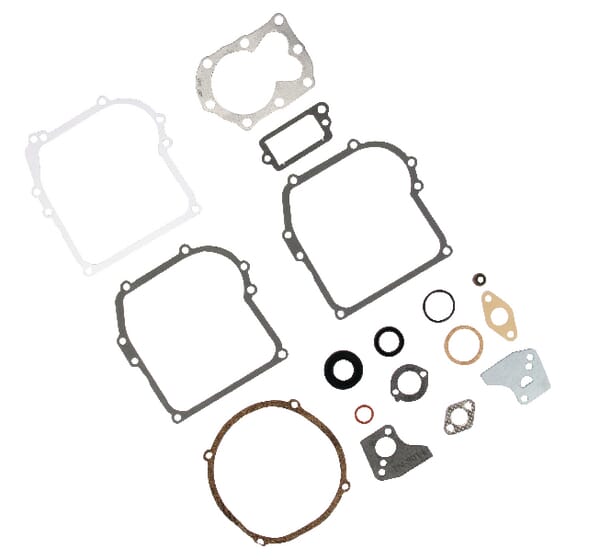 Motordichtungssatz - 795971 - Briggs & Stratton