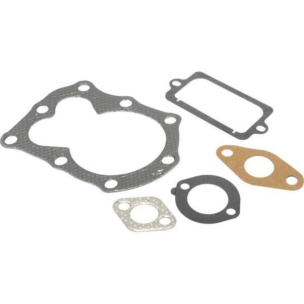 Briggs & Stratton Dichtungssatz - 795972 - Satz Ventildichtungen