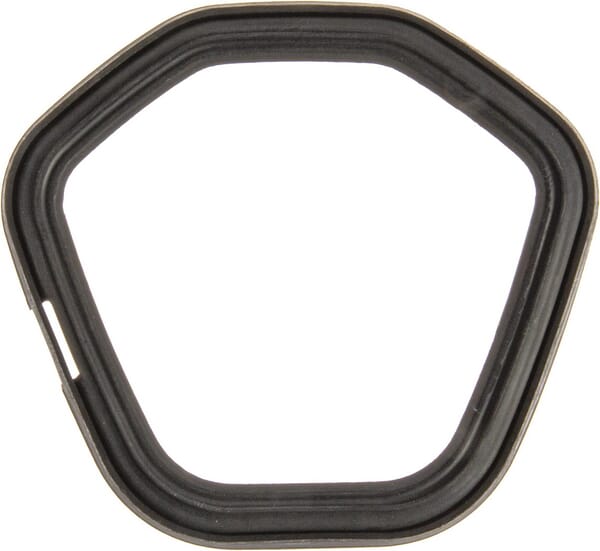 Dichtung für Kipphebel - 797846 - Briggs & Stratton