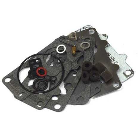 Briggs & Stratton Vergaserreparaturset - 797890 - Vergaser-Überholungssatz