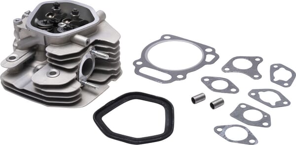 Zylinderkopf - 799801 - Briggs & Stratton