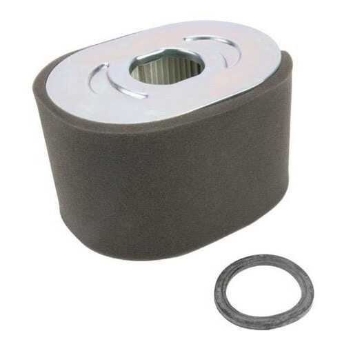 Luftreinigungsfilter - 799818 - Briggs & Stratton