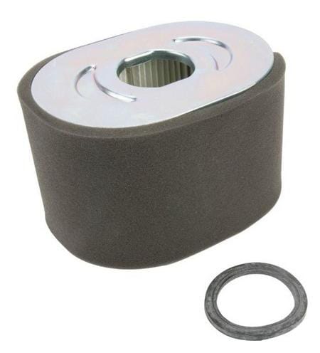 Luftreinigungsfilter - 799818 - Briggs & Stratton