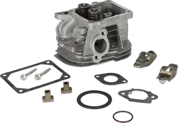 Zylinderkopf - 799858 - Briggs & Stratton