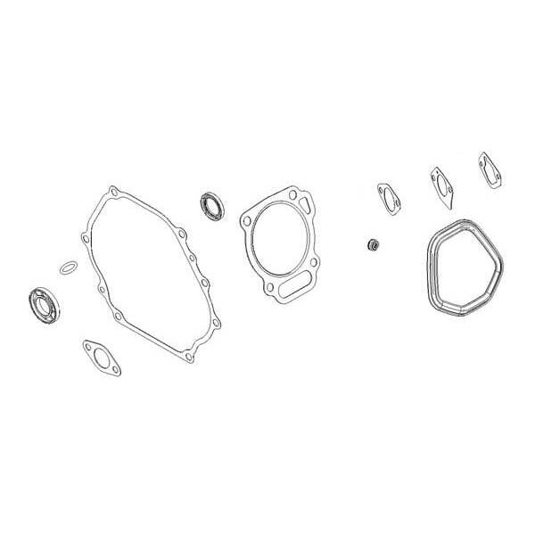 Briggs & Stratton Dichtungssatz - 799952 - Dichtungssatz Motor