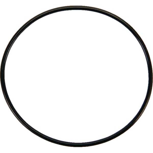 Dichtung Schwimmerkammer - 841651 - Briggs & Stratton
