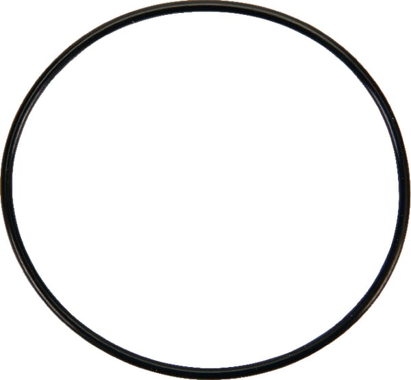 Dichtung Schwimmerkammer - 841651 - Briggs & Stratton
