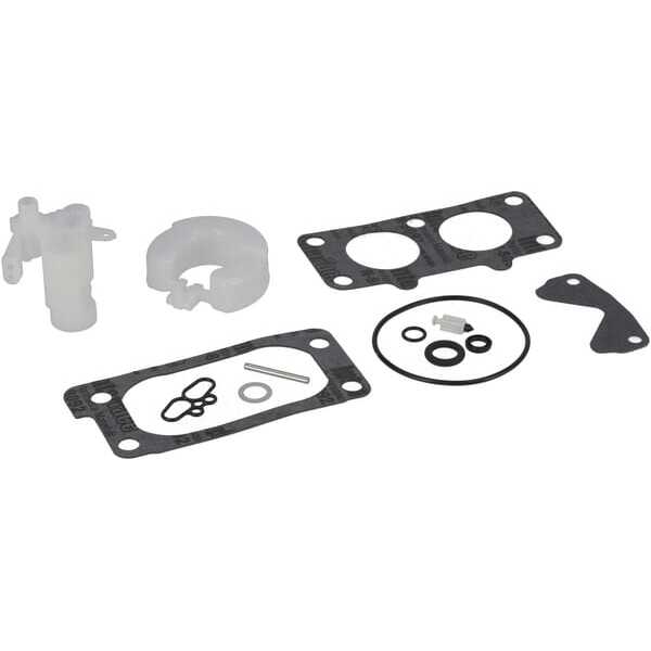 Vergaserkit - 843103 - Briggs & Stratton