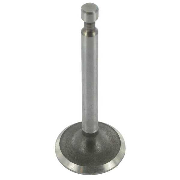 Ventil - 843379 - Briggs & Stratton