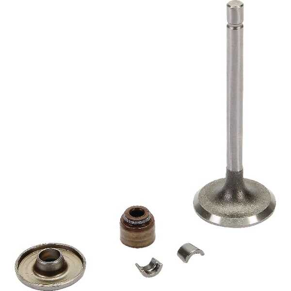 Briggs & Stratton Ventile - 843751 - Einlassventil
