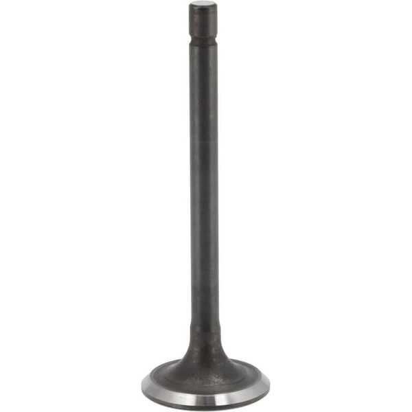 Auslassventil - 843752 - Briggs & Stratton