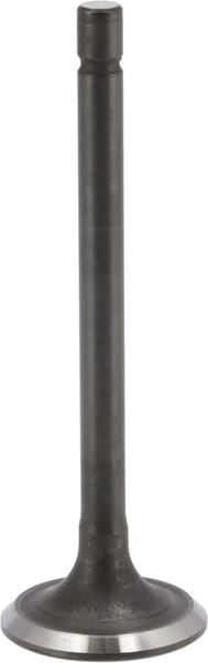 Auslassventil - 843752 - Briggs & Stratton