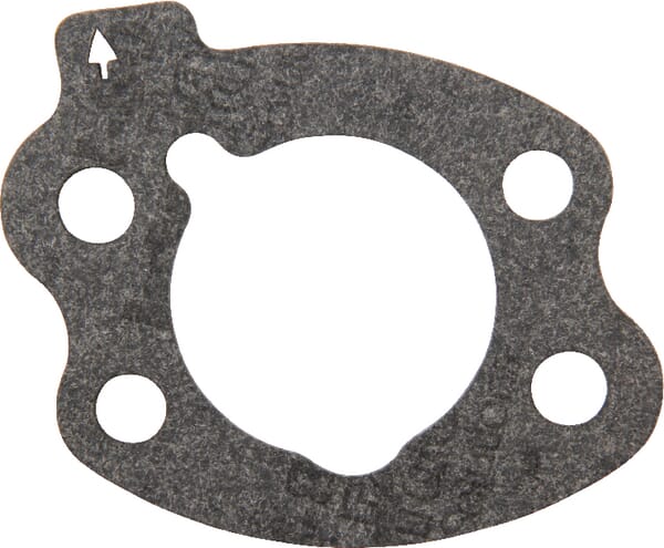 Briggs Luftfilterdichtung - 844931 - Briggs & Stratton