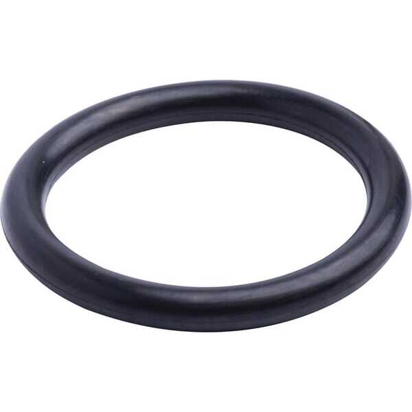 John Deere O-Ringe Gehäuse-IH - 86629540 - O-Ring