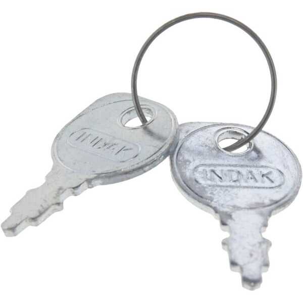 AL-KO Zündschlüssel OE - AGW53864 - Zündschlüsselsatz (2x)