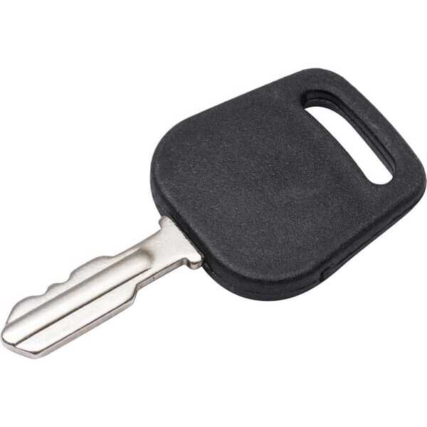AL-KO Zündschlüssel OE - G06650952 - Startschlüssel